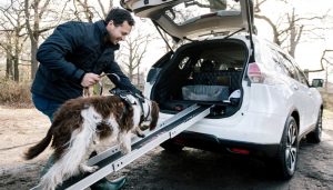 A built-in dog ramp shows how this Nissan X-Trail is the best SUV for dogs