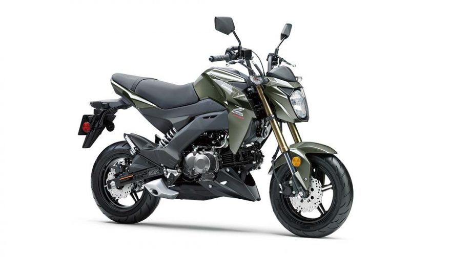 The 2018 Kawasaki Z125 PRO could be the beginner motorcycle for some riders